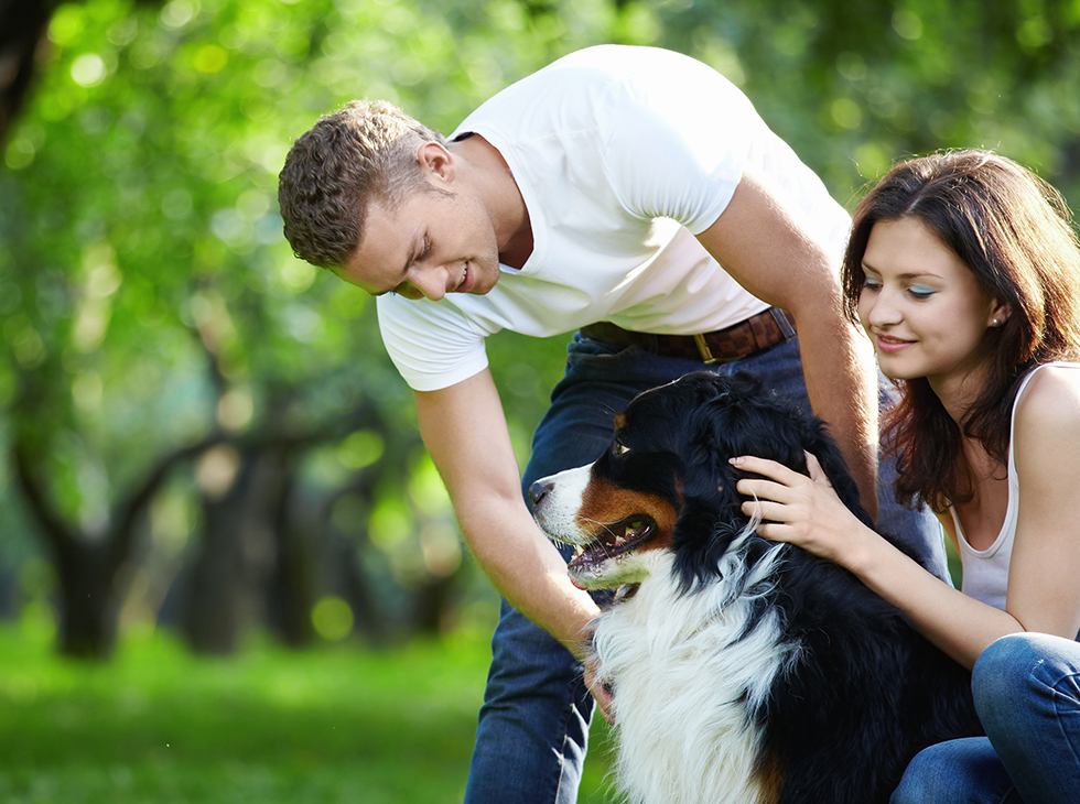 Pawsitive https://luckydogwasteremoval.com/wp-content/uploads/2019/07/hero_image_10.png