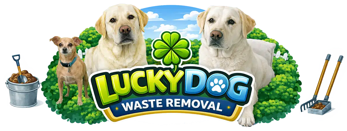 https://luckydogwasteremoval.com/wp-content/uploads/2026/03/Lucky-Dog-Waste-Removal-Jacksonville-Beach-FL-1.webp